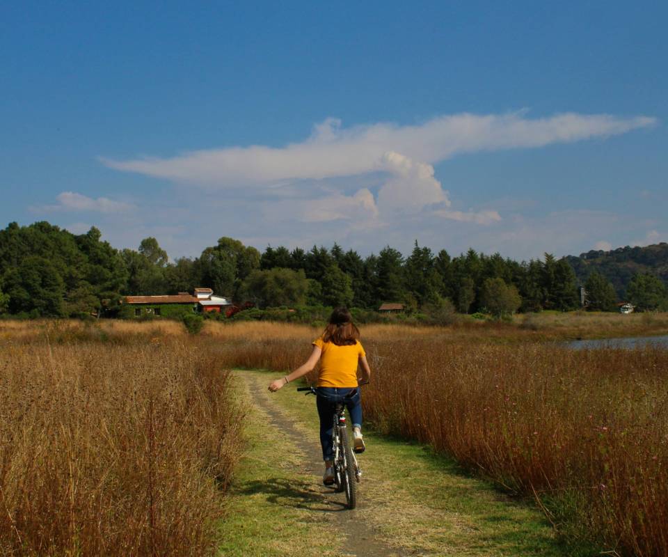 <a href="https://unsplash.com/@sample_in_photography?utm_source=unsplash&utm_medium=referral&utm_content=creditCopyText">Lucia Macedo</a> on <a href="https://unsplash.com/photos/man-in-yellow-shirt-riding-bicycle-on-green-grass-field-during-daytime-v9uUiLzqBLg?utm_source=unsplash&utm_medium=referral&utm_content=creditCopyText">Unsplash</a>
