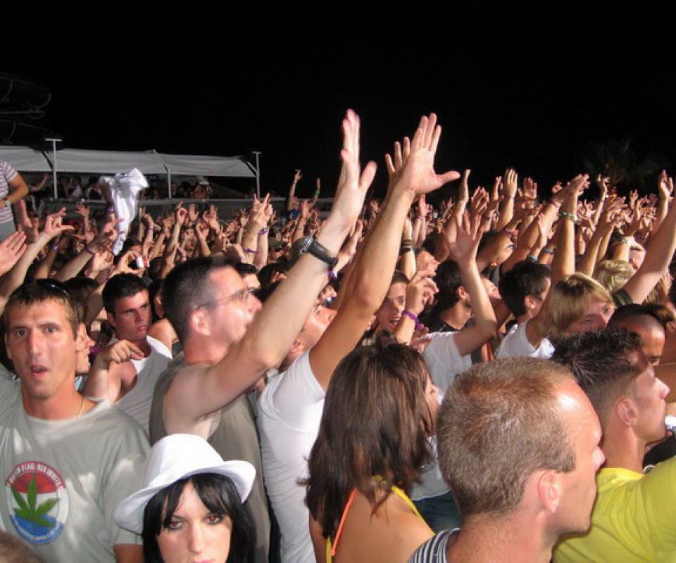 tiesto-papya