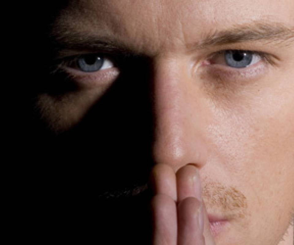 Fedde le Grand