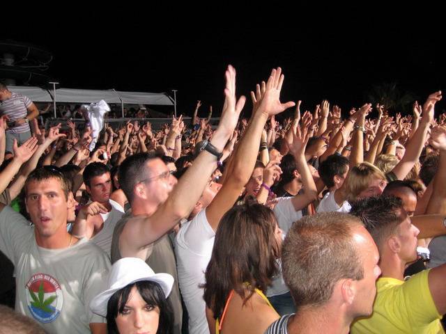 tiesto-papya