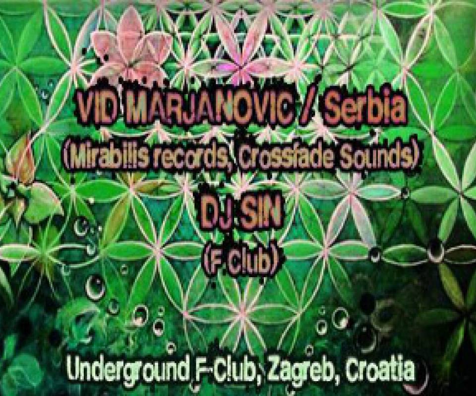 vid marjanović