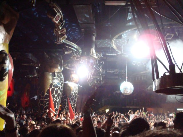 david-guetta-ambasada-gavioli