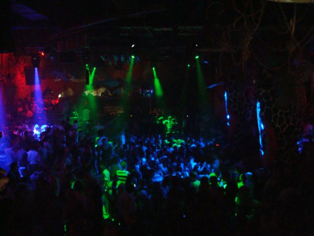 david-guetta-ambasada-gavioli