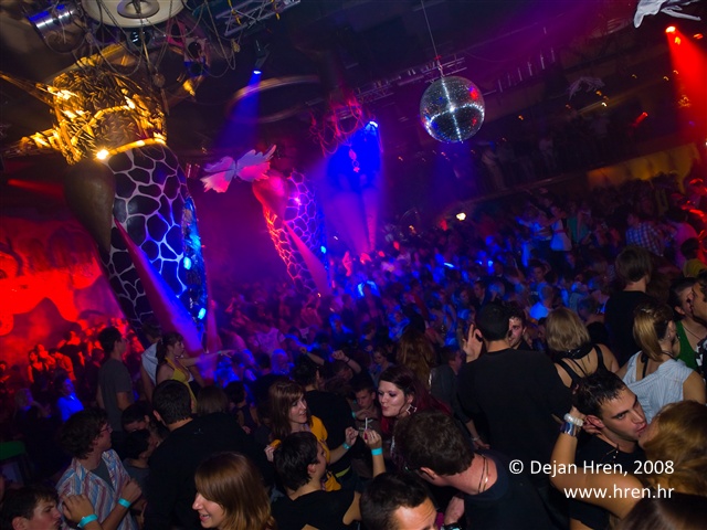david-guetta-ambasada-gavioli