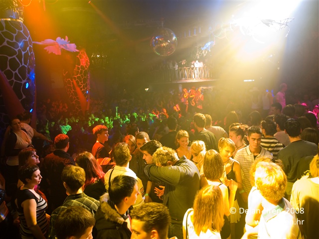 david-guetta-ambasada-gavioli