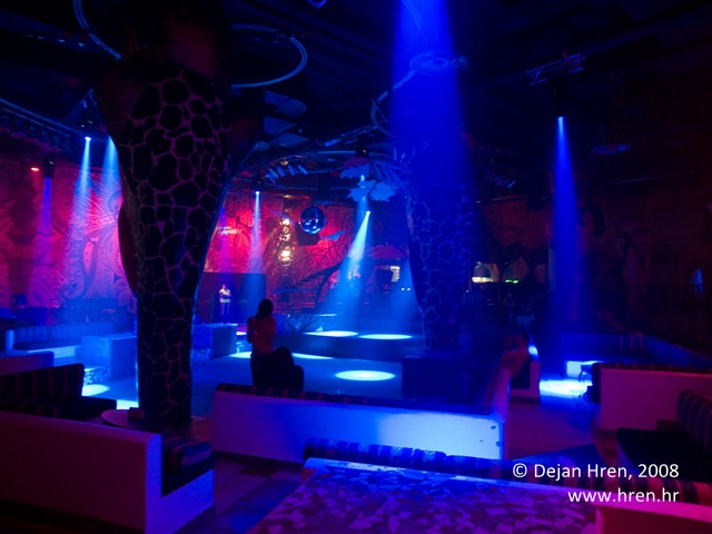 david-guetta-ambasada-gavioli