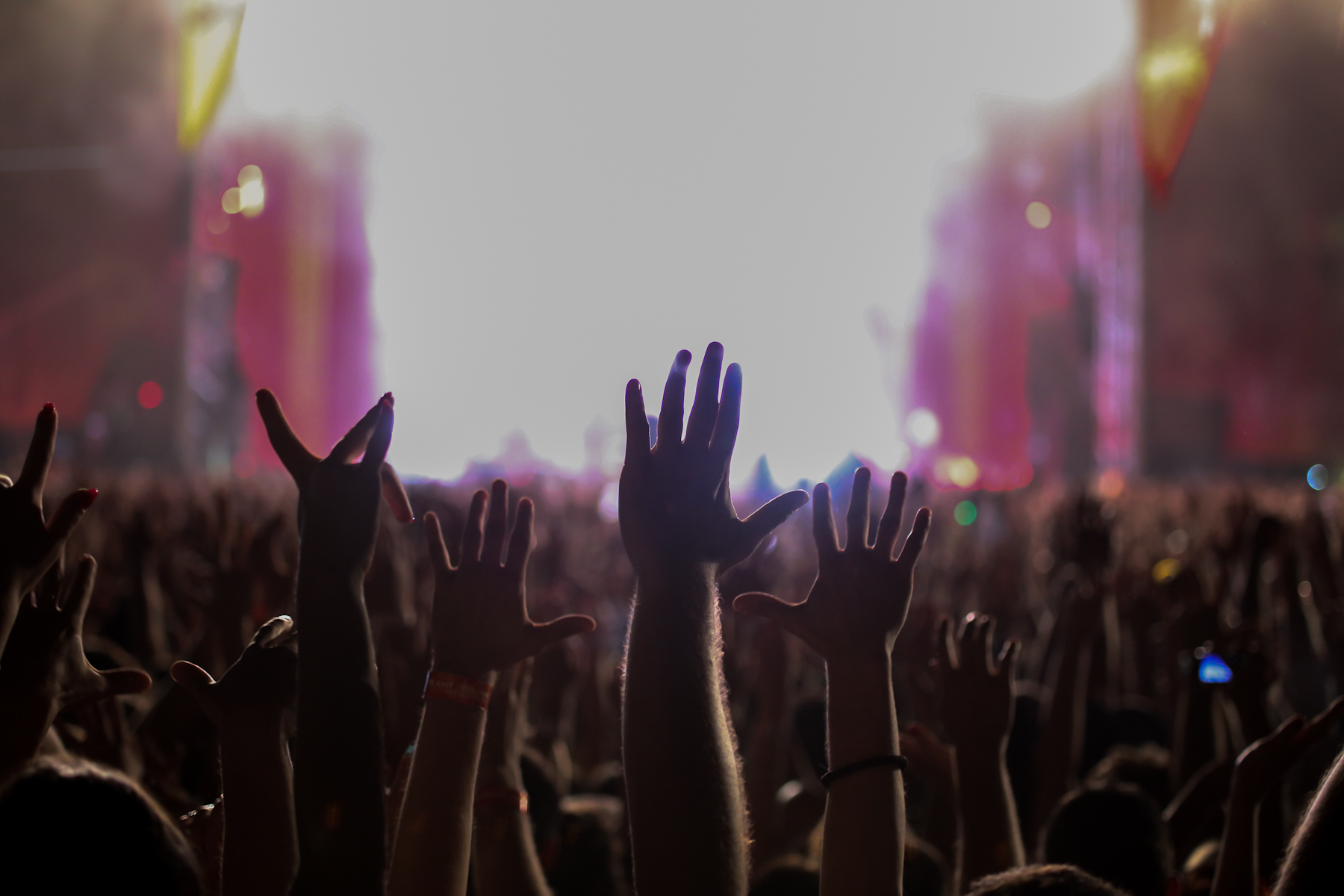 exit-festival