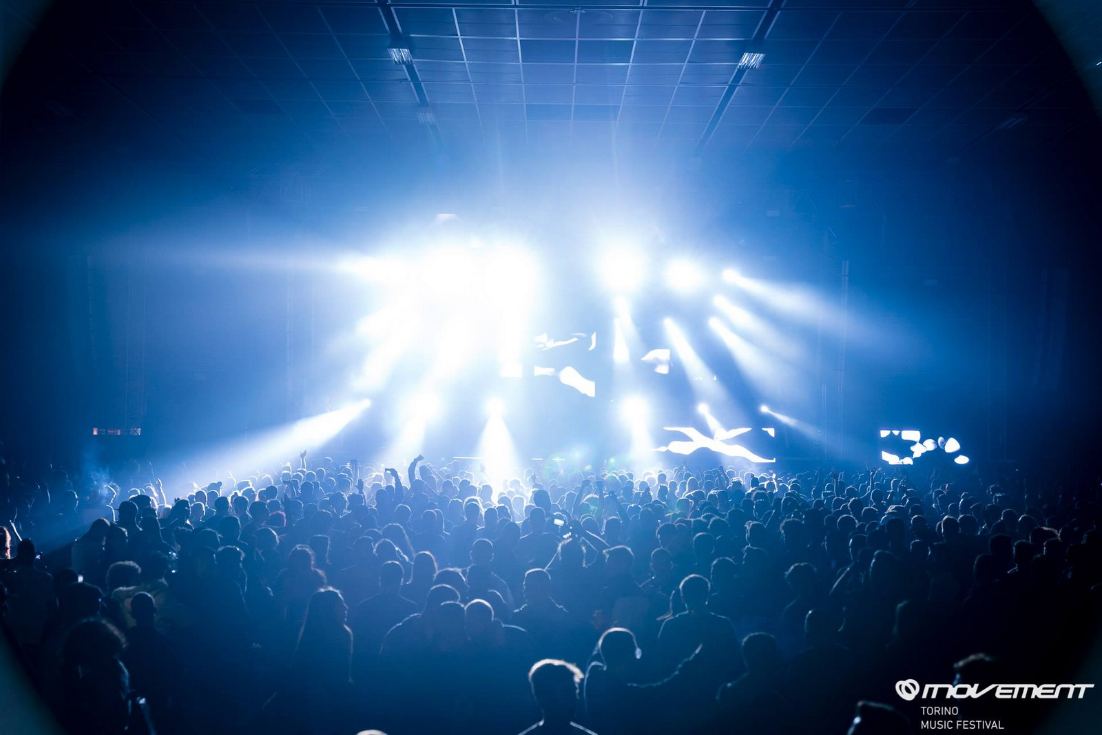 demf-italia_1