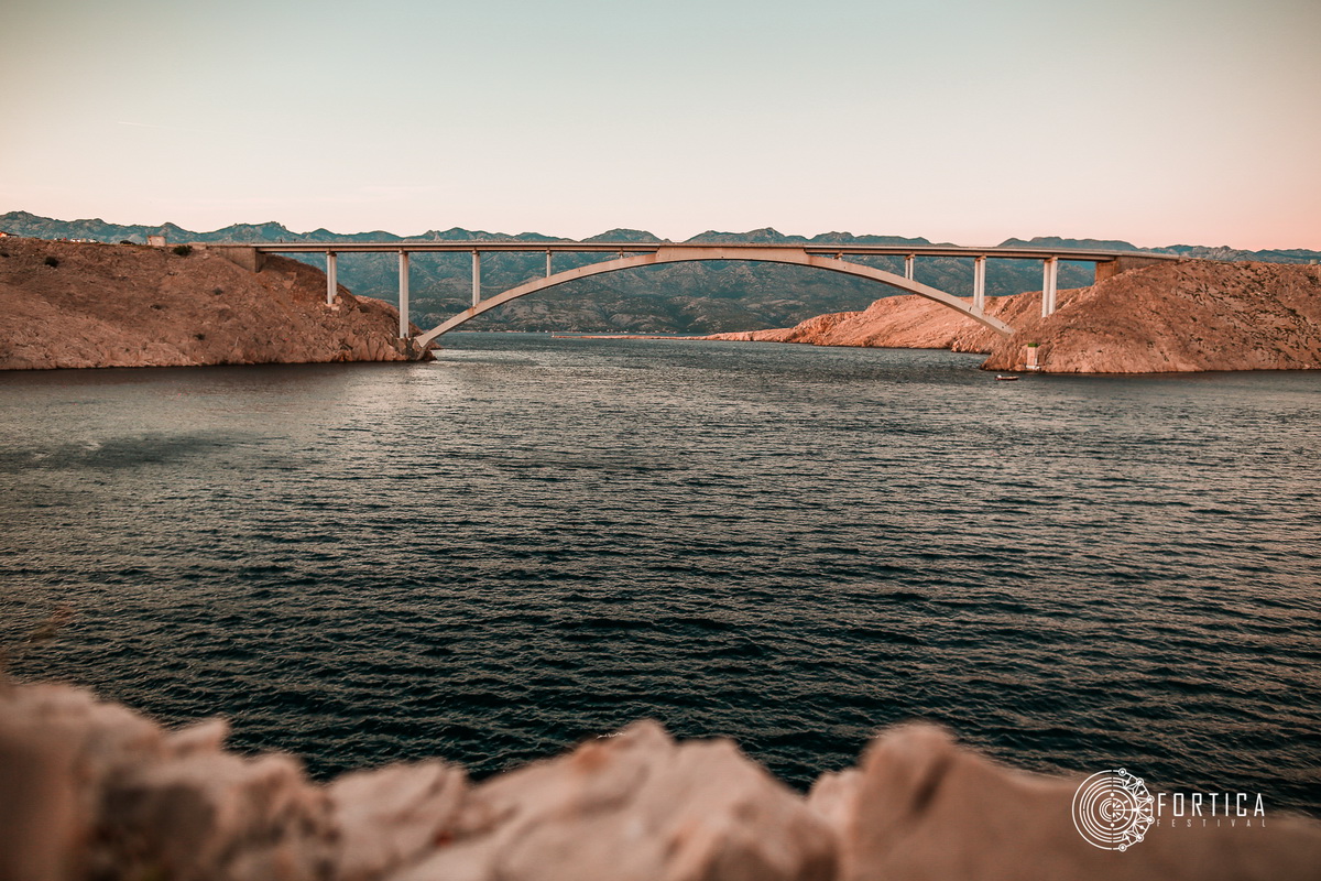 fortica_132