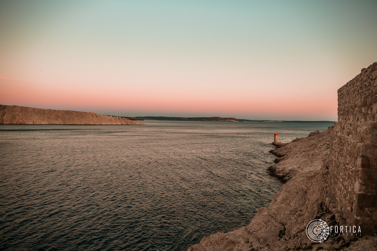 fortica_133