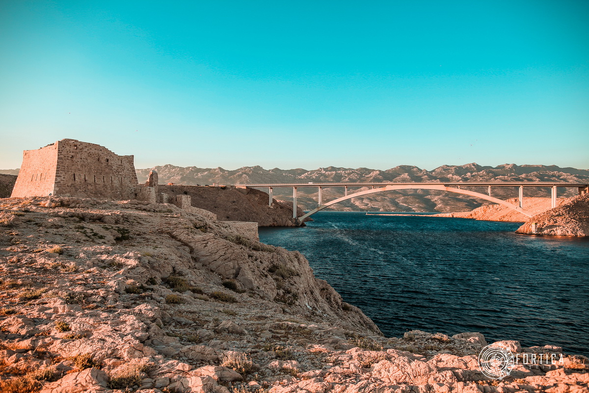 fortica_139