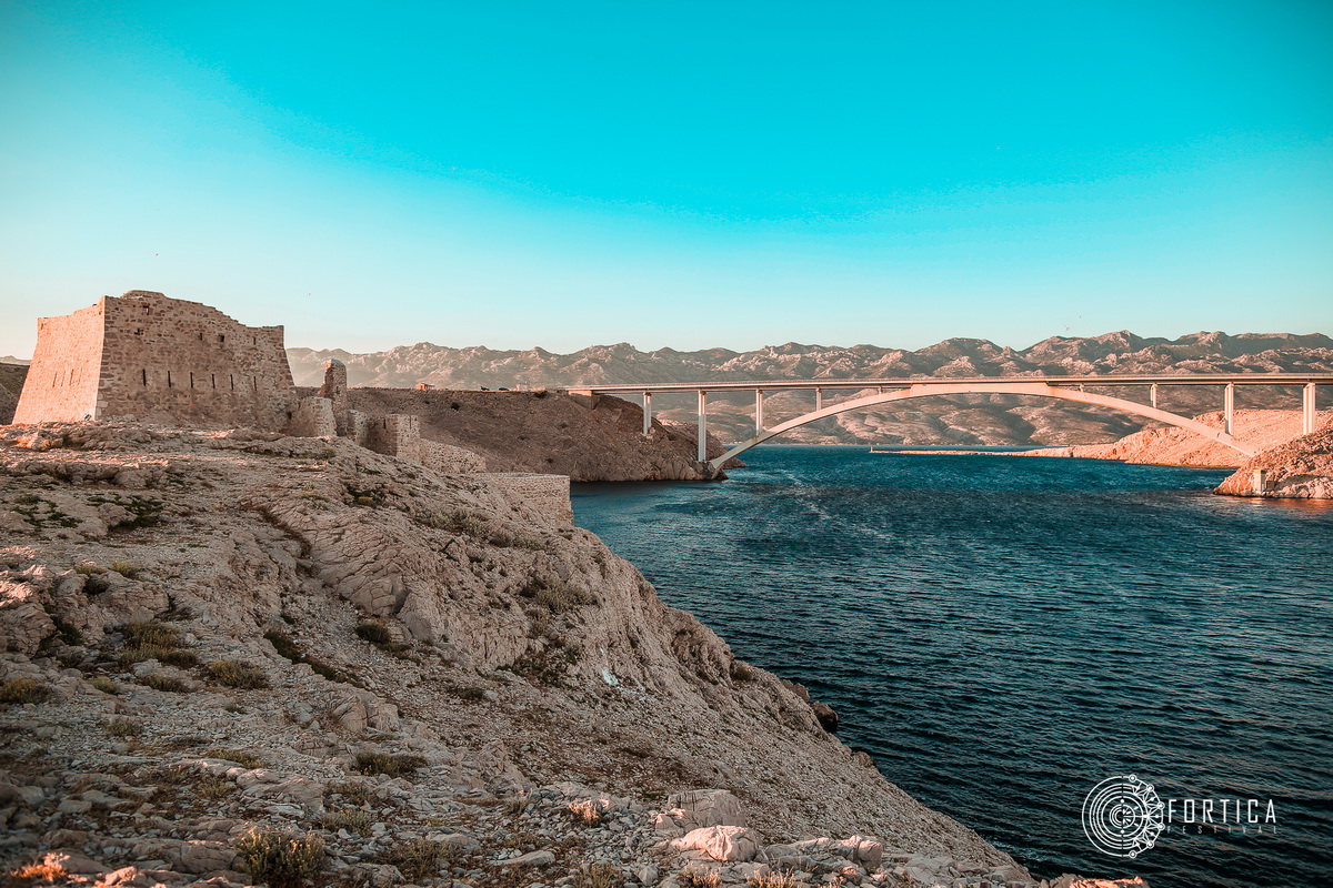 fortica_140
