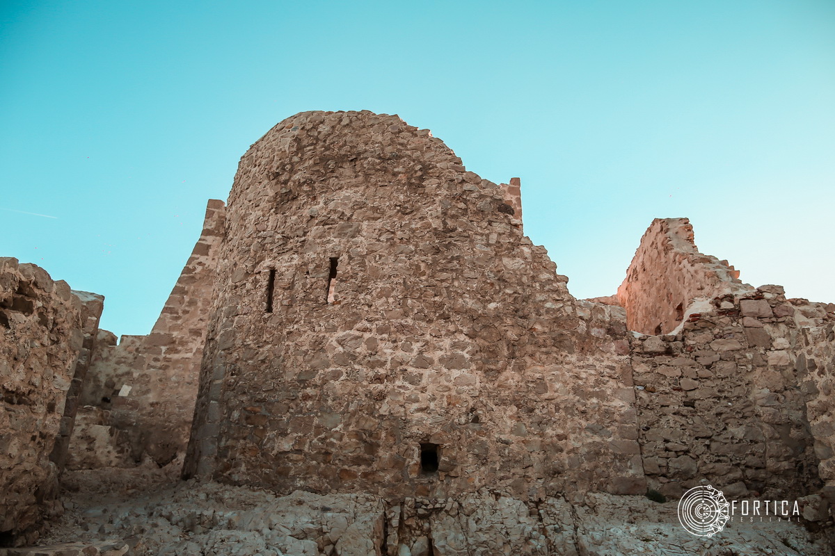 fortica_145