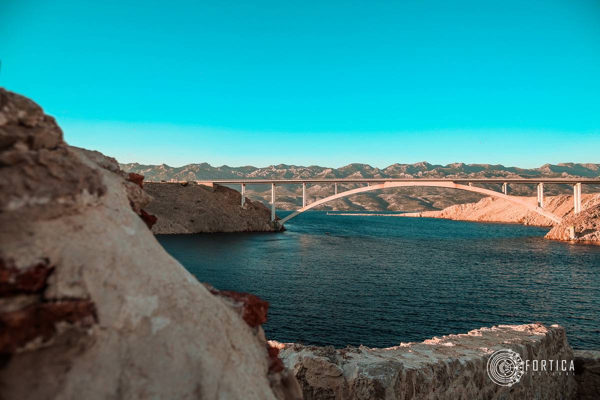 fortica_147